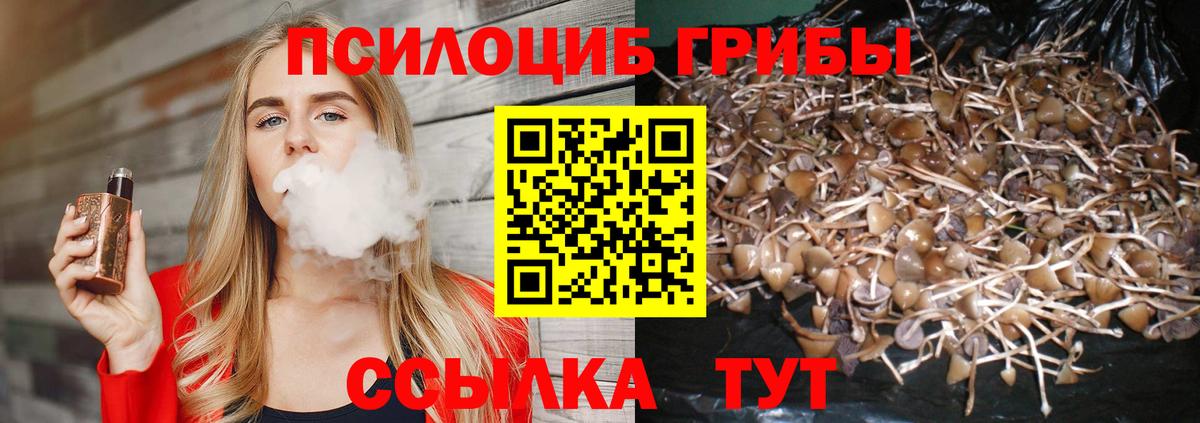 Псилоцибиновые грибы MAGIC MUSHROOMS  Вход с VPN  Галлюциногенные грибы прущие грибы  Знаменск 